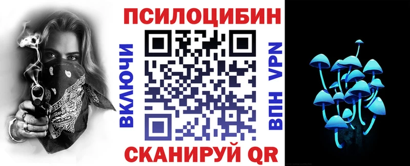 Псилоцибиновые грибы Psilocybe  Горнозаводск 
