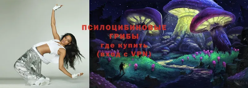 Галлюциногенные грибы Magic Shrooms  Горнозаводск 